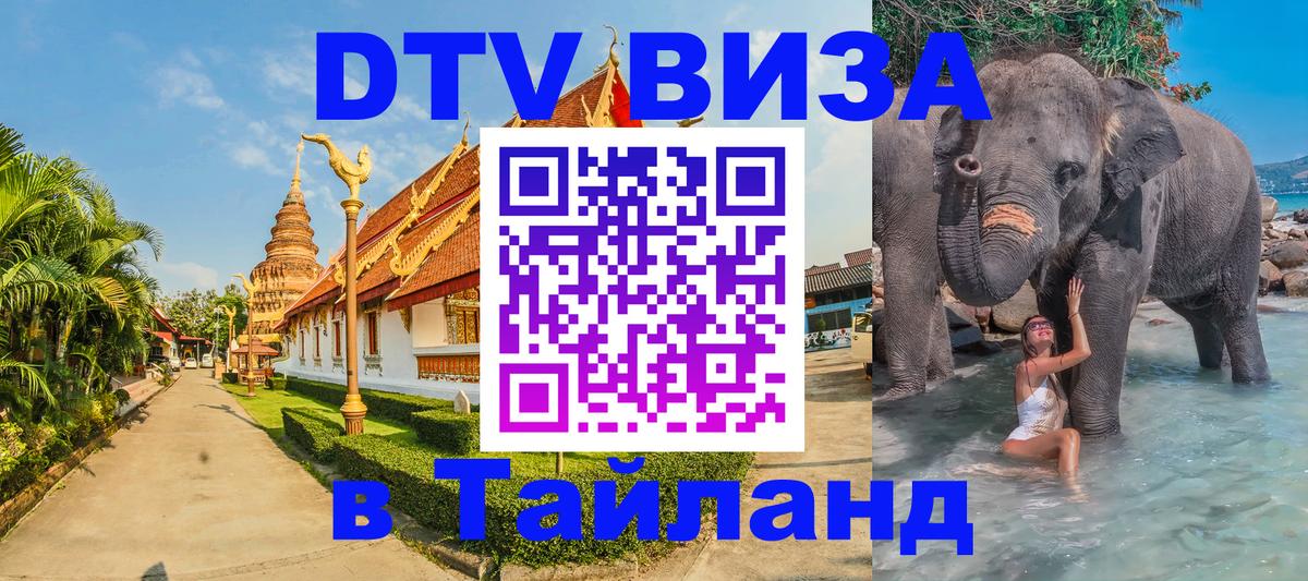 Оформление DTV визы под ключ: стоимость и тарифы, только загранпаспорт - Хабаровск 